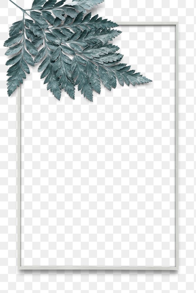 Leatherleaf fern silver frame png transparent background