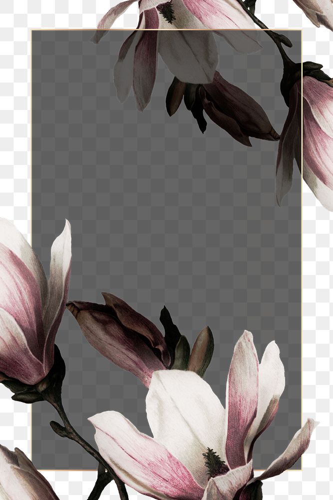 Png gold frame with magnolia | Free PNG - rawpixel