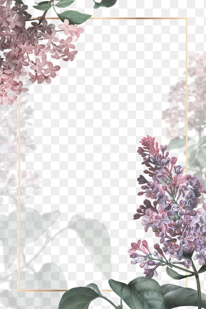 Png wedding frame with lilac border transparent background