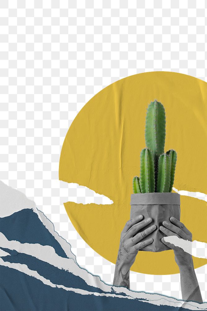 Cactus png houseplant retro remix with ripped papers