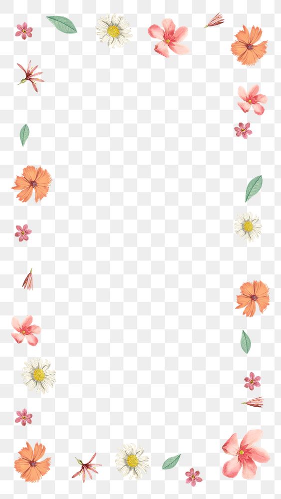 Spring flower frame png background, aesthetic design