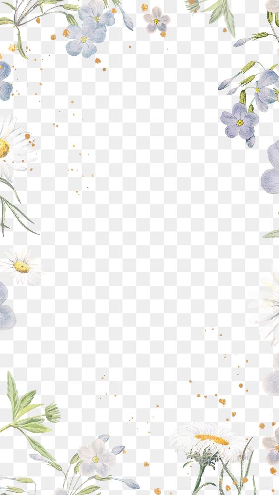 Aesthetic flower png frame, transparent background