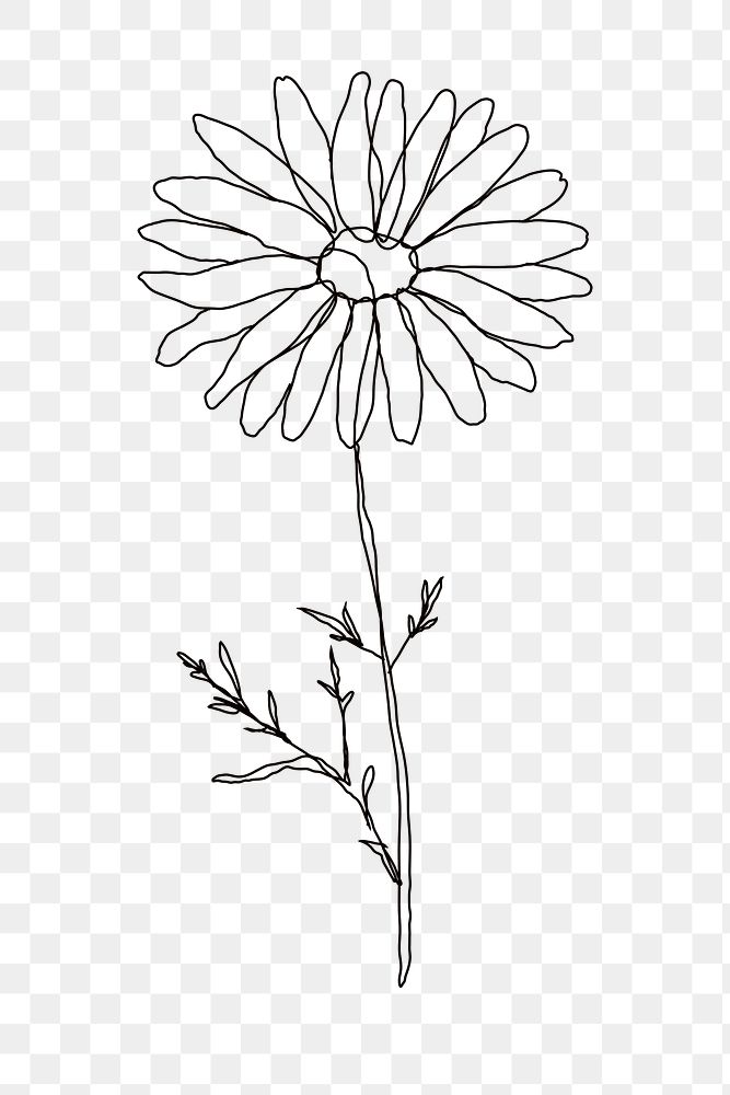 Png flower monoline art on transparent background