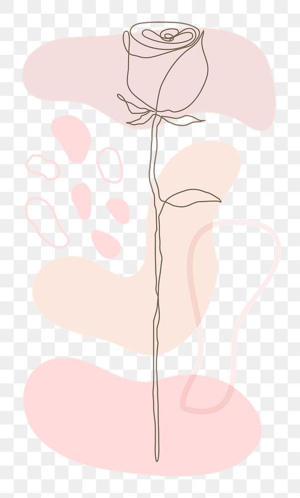 Png rose flower line drawing