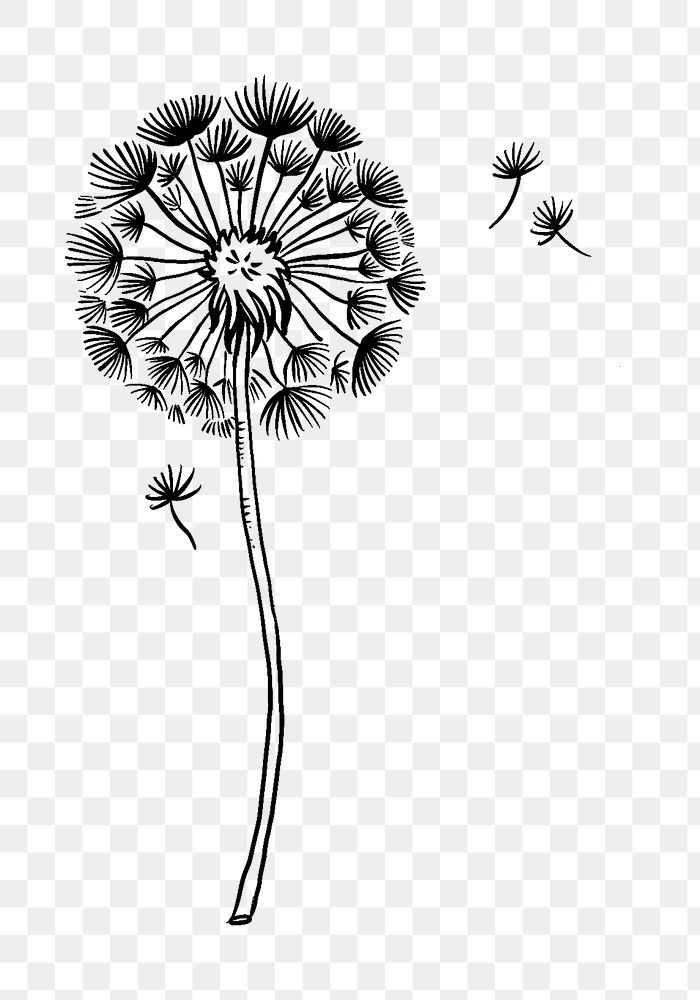 Dandelion png flower tattoo art, black vintage sticker