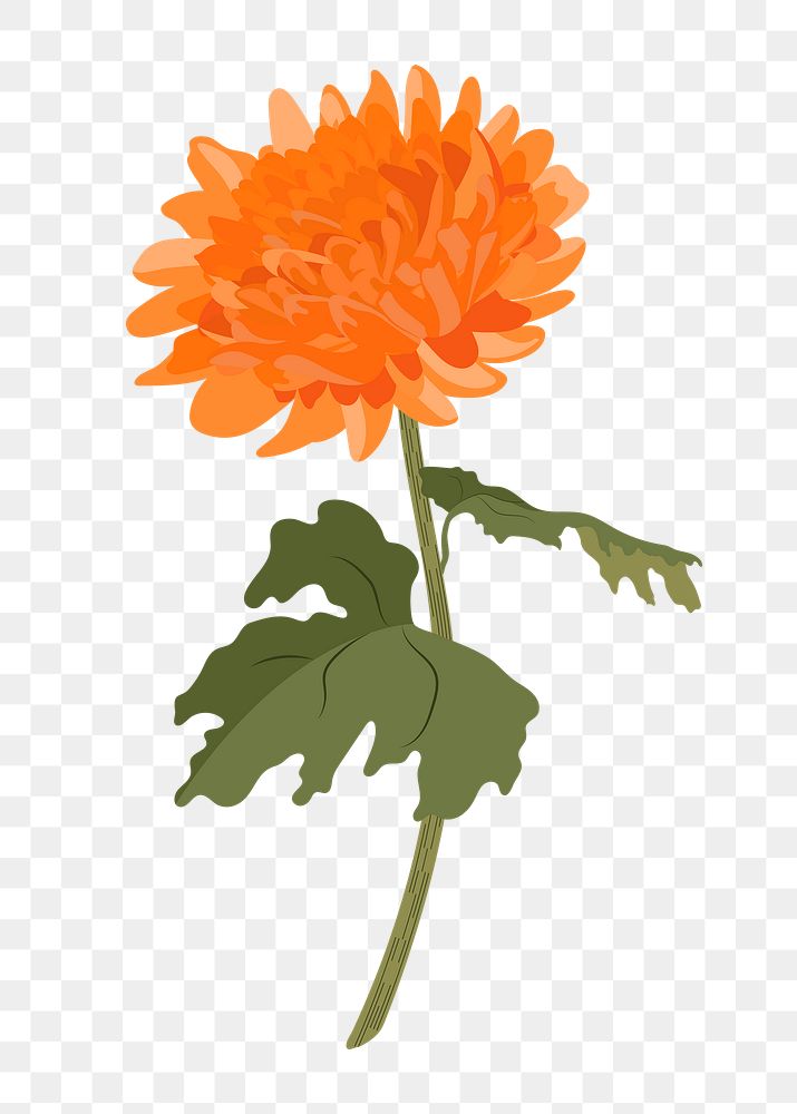 Orange chrysanthemum png flower sticker, Autumn aesthetic on transparent background