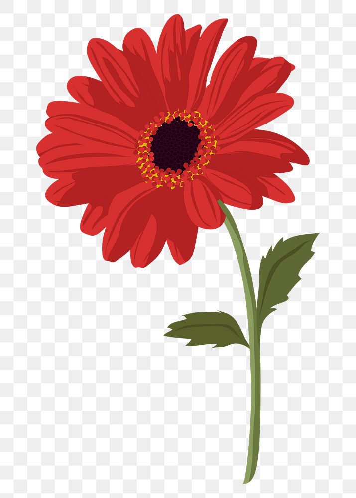 Aesthetic daisy png sticker, red flower collage element on transparent background
