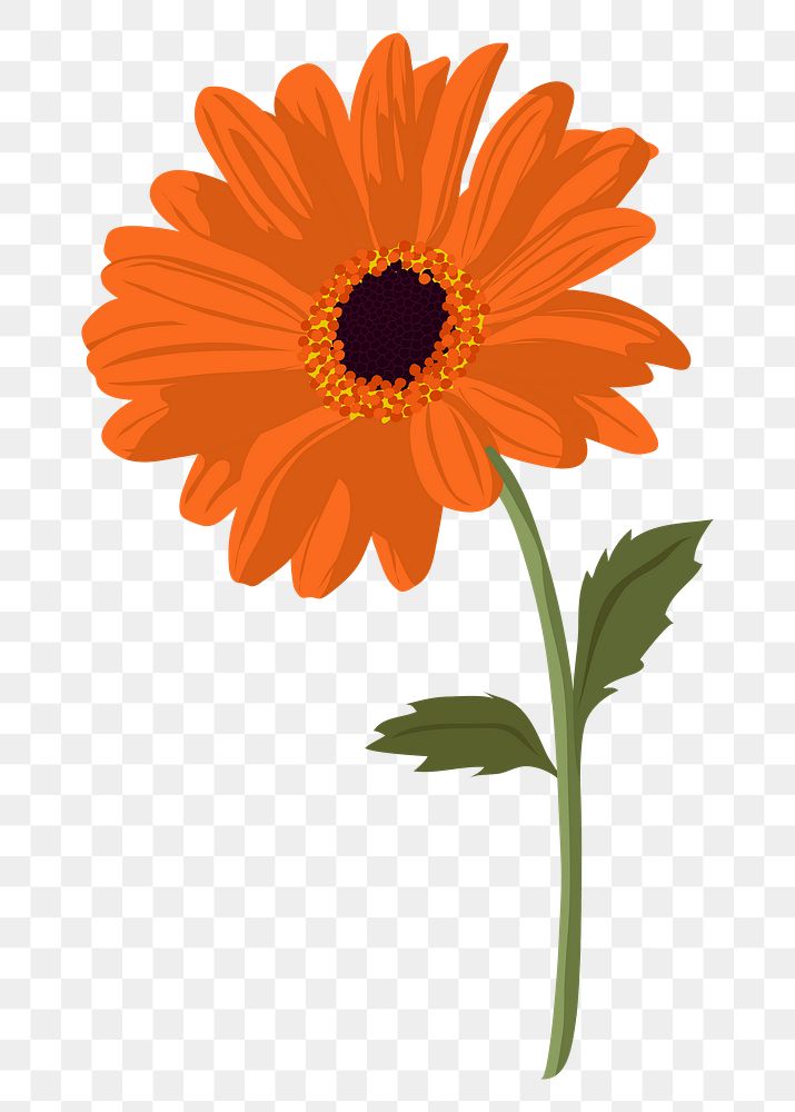 Aesthetic daisy png sticker, orange flower collage element on transparent background