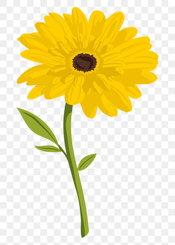 Yellow gerbera png sticker, feminine flower illustration on transparent background