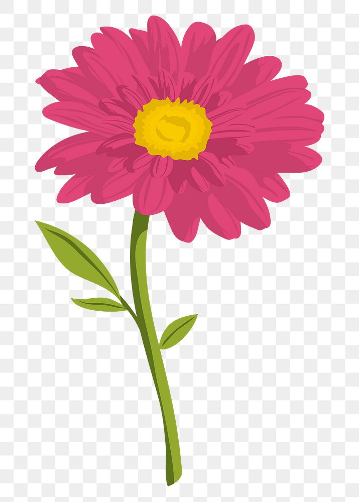 Pink gerbera png sticker, feminine flower illustration on transparent background