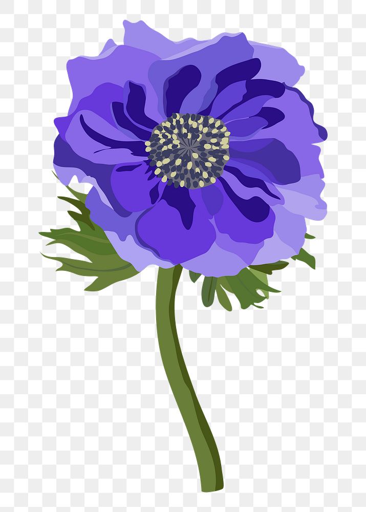 Purple anemone png sticker, aesthetic flower illustration on transparent background