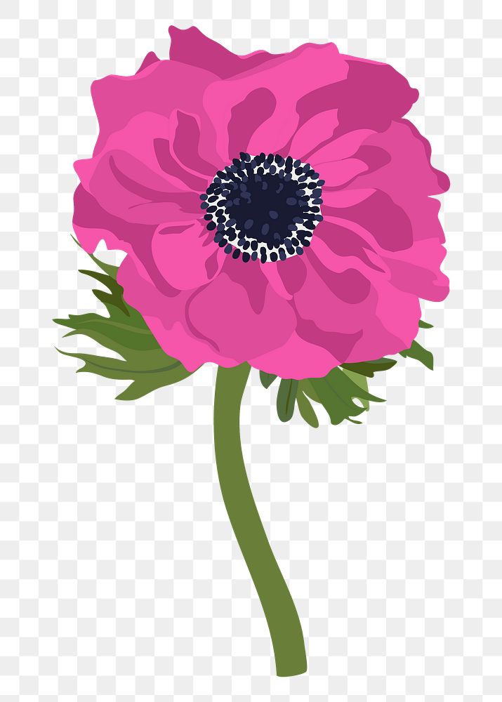 Pink anemone png flower sticker, feminine illustration on transparent background