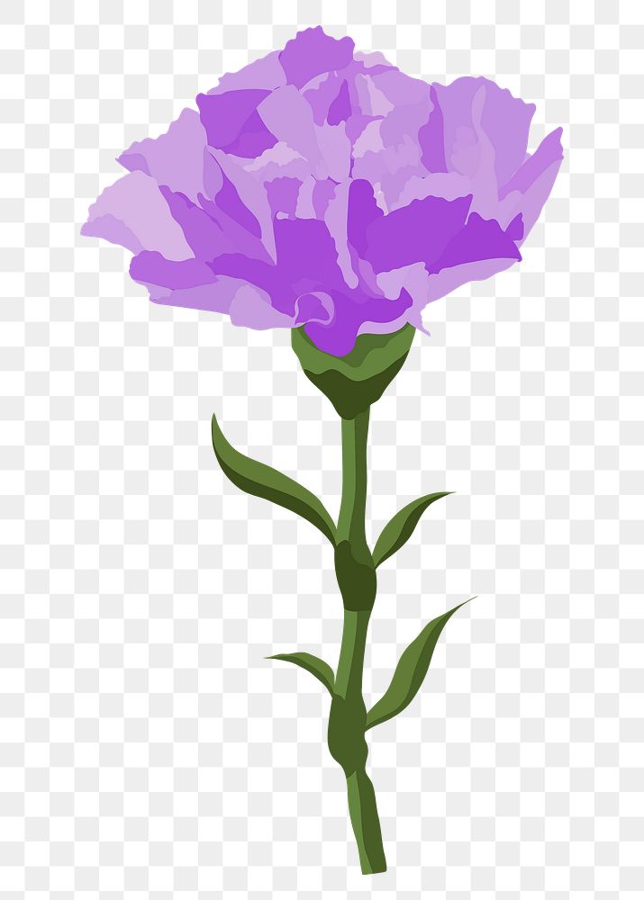 Purple carnation png sticker, aesthetic flower illustration on transparent background