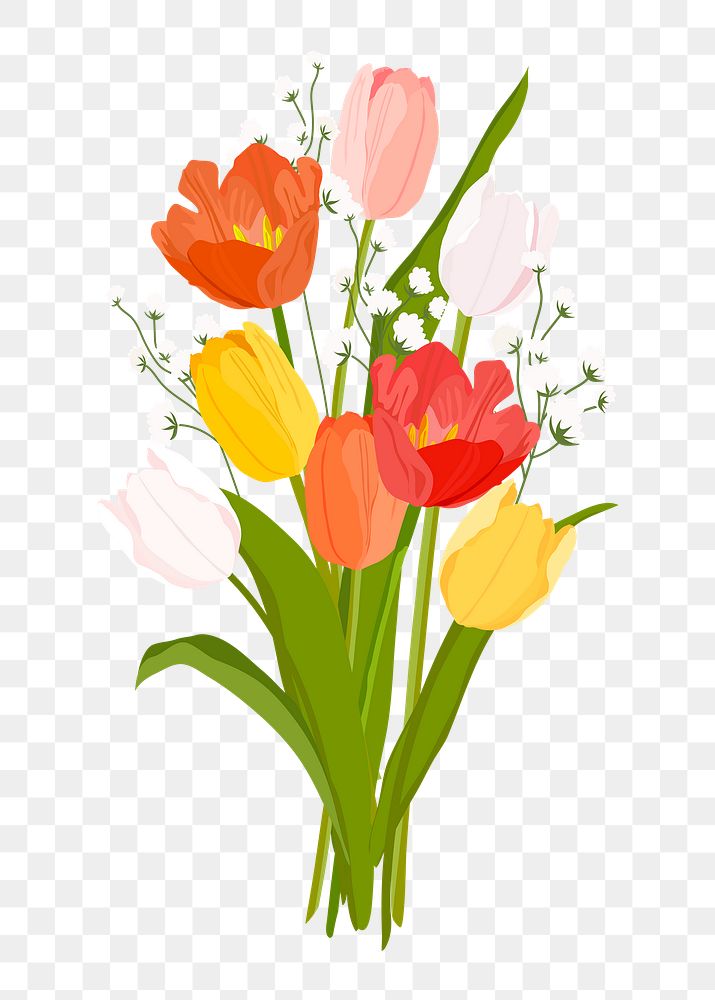 Tulip flower png bouquet clipart, Valentine's gift on transparent background