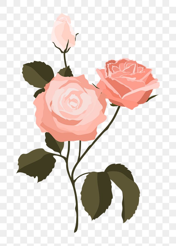 Pink pastel rose png sticker, flower illustration on transparent background