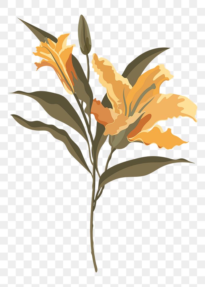 Autumn lily png sticker, orange flower on transparent background