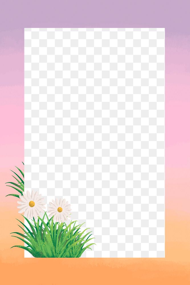 Floral png frame background, minimal Daisy flower design, transparent background