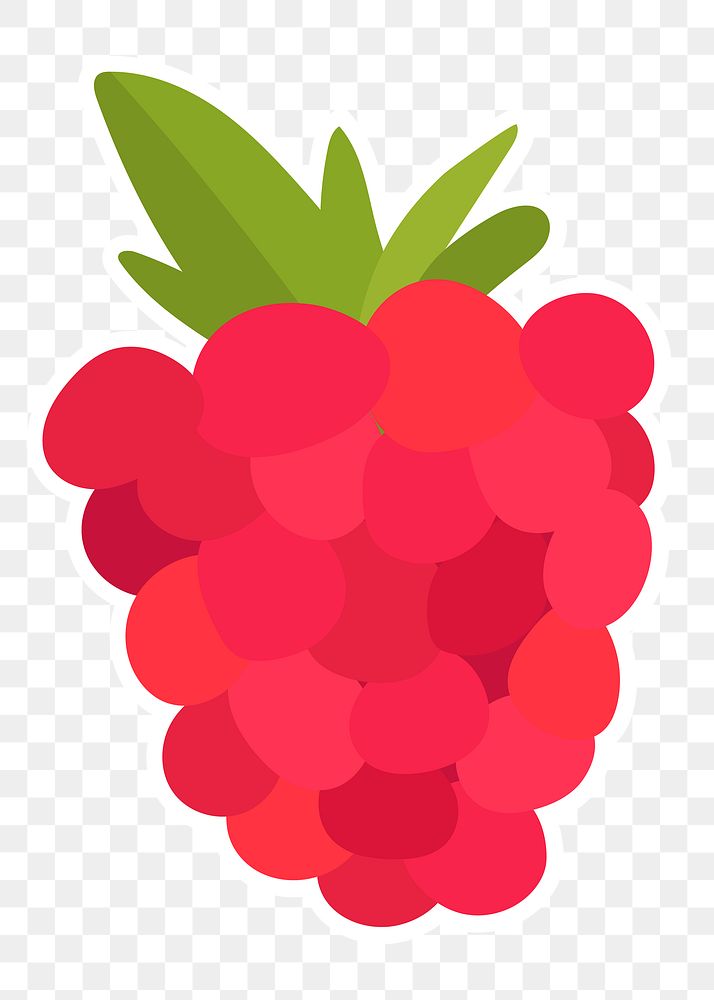 Raspberry Cartoon Images | Free Photos, PNG Stickers, Wallpapers &  Backgrounds - rawpixel