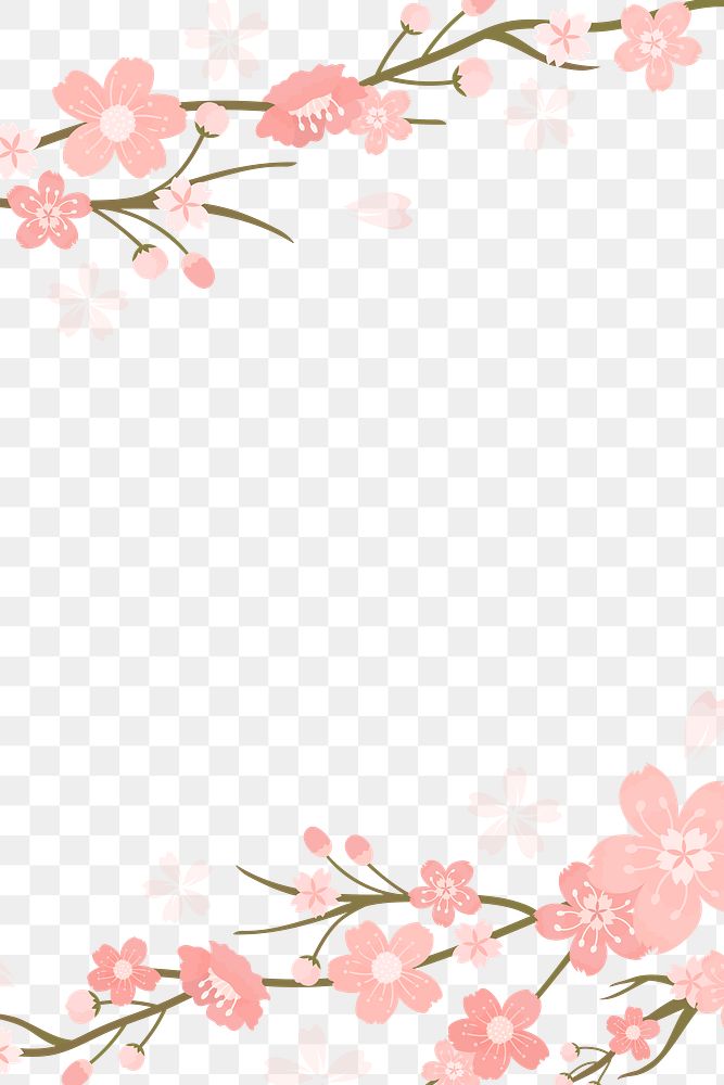 Sakura png  transparent background Hanami festival