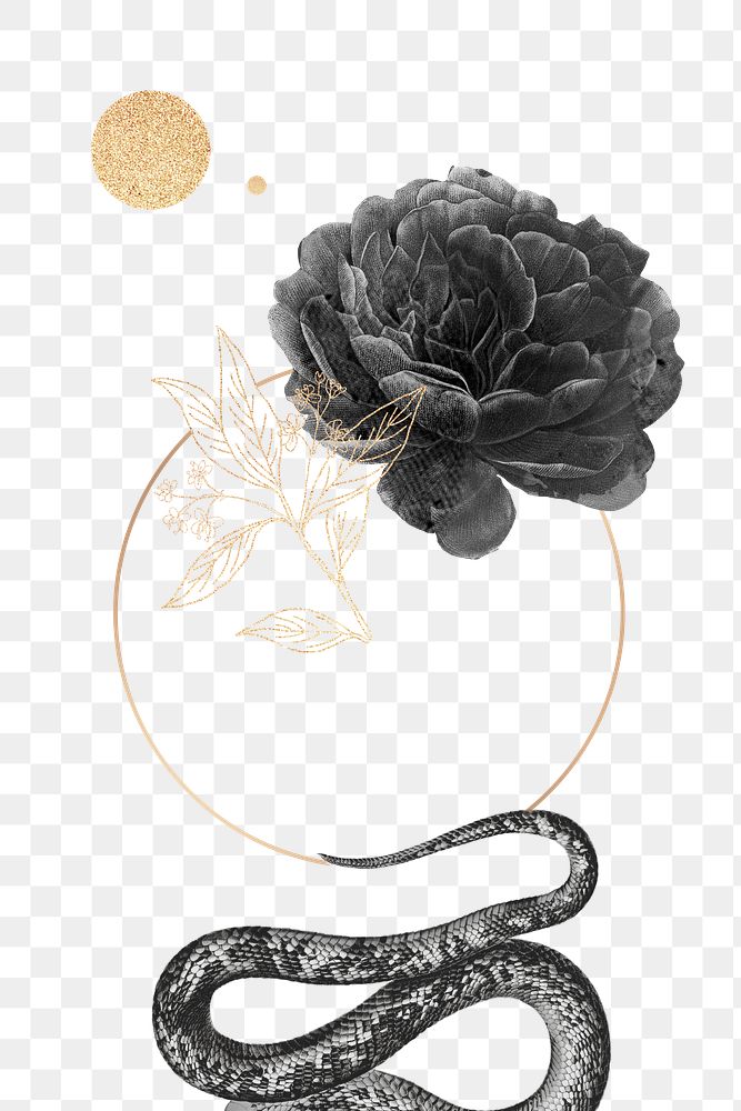 Black peony frame with a snake design element 