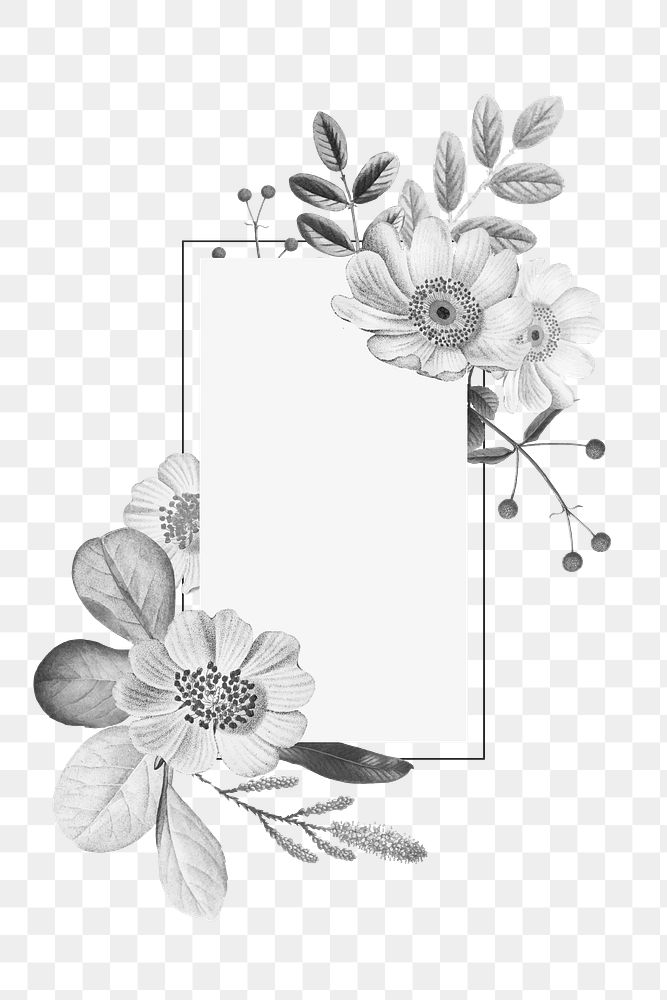Vintage Bw Floral Frame Png Free Png Rawpixel
