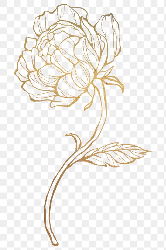 golden leaf png royalty free stock transparent png 2019728 download premium png of gold leaves outline transparent png 2019728