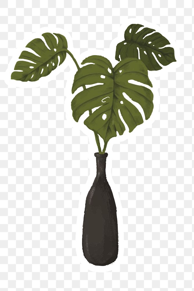 Swiss cheese plant in a vase sticker