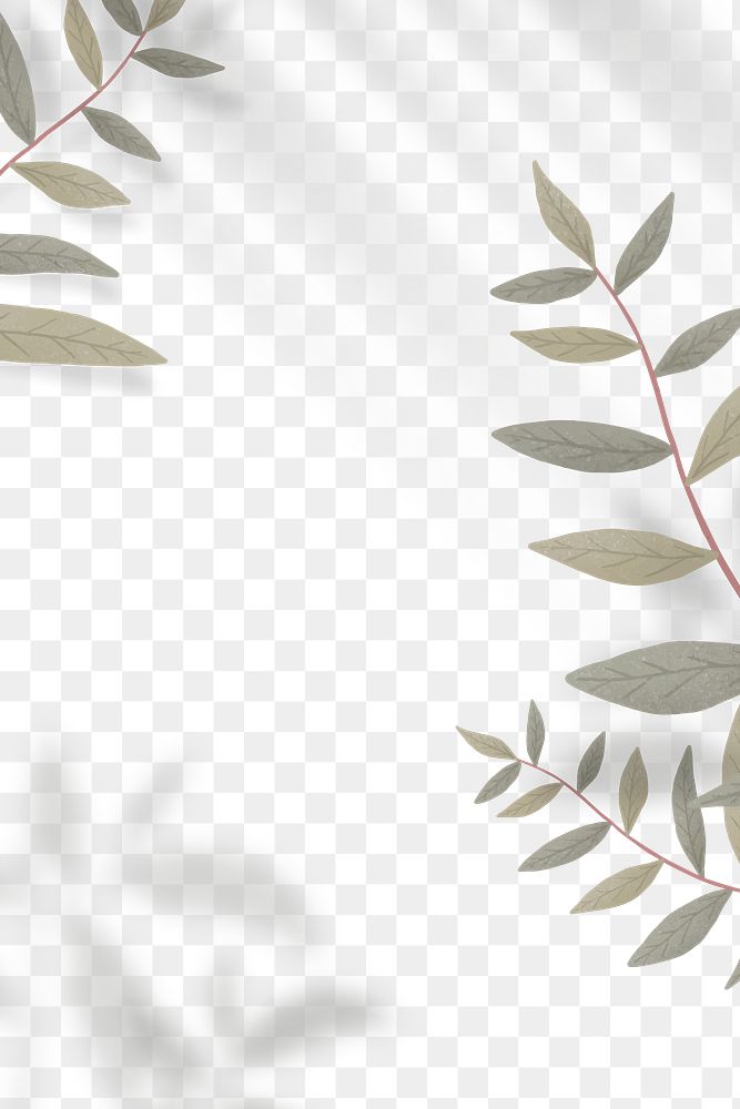 Wall leaves shadow frame png