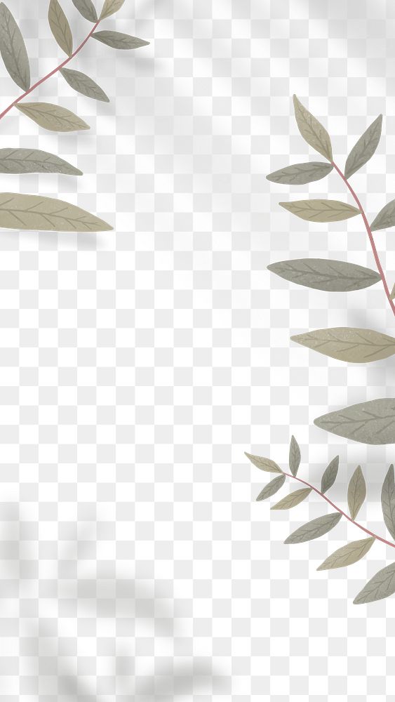 Leaves and shadows frame png background