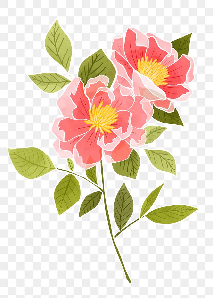 Hand-drawn png rose flower design element