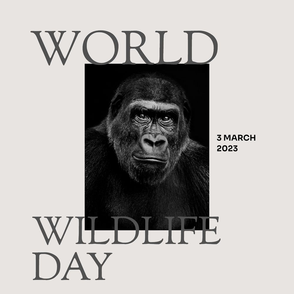 World wildlife day Instagram post template, editable design