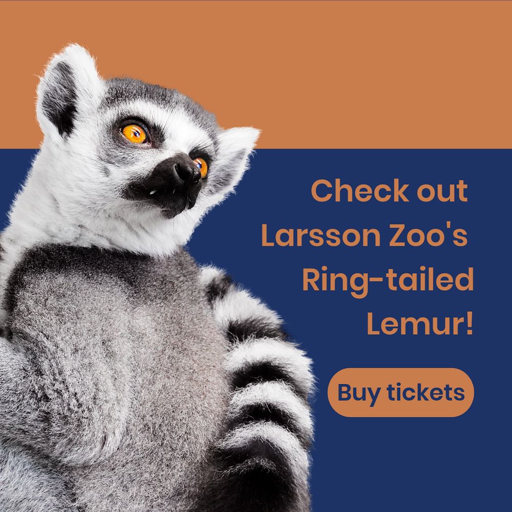Zoo advertisement Instagram post template for social media