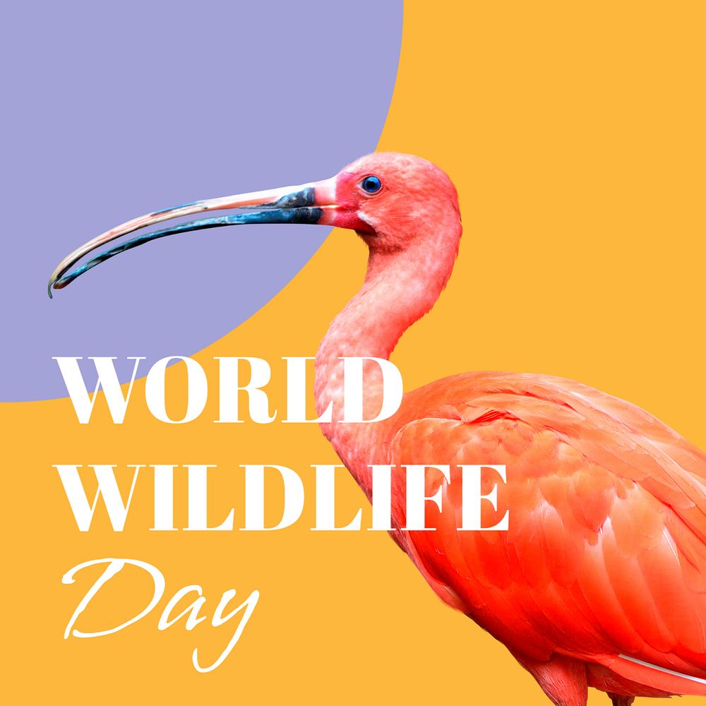 Animal conservation instagram post template, saving wildlife social media post design