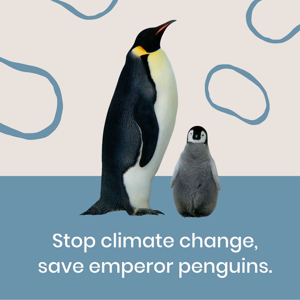 Climate change, Instagram post template, wildlife protection campaign