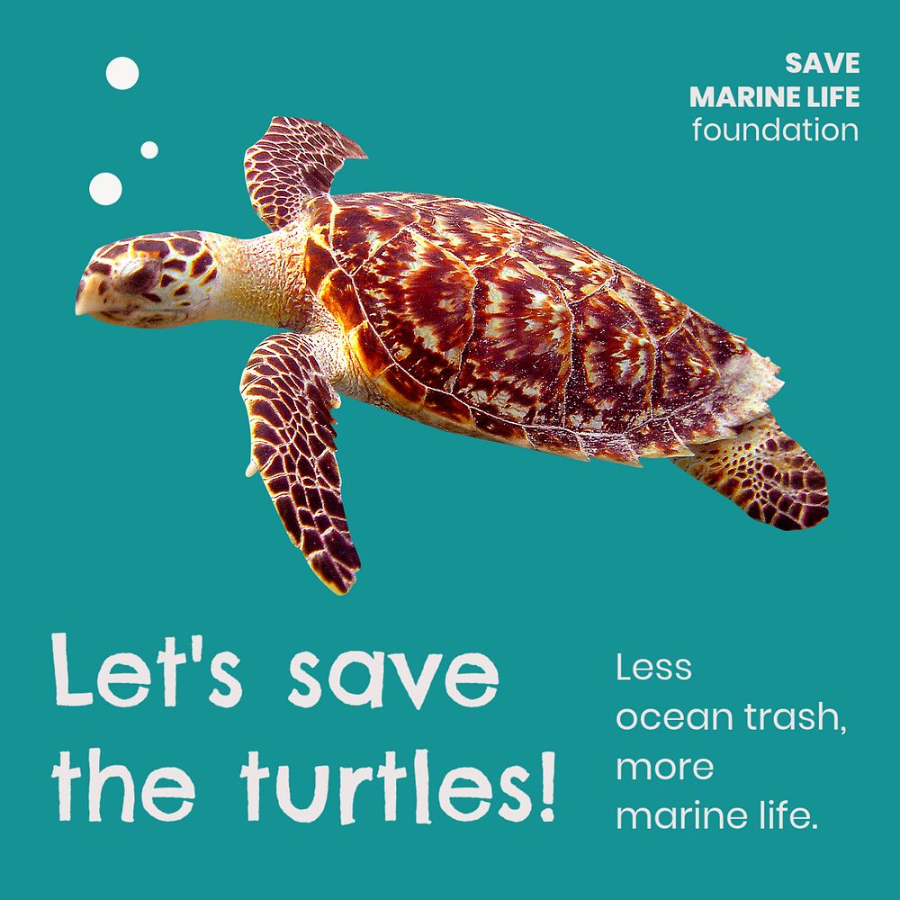 Marine life Instagram post template for social media advertisement