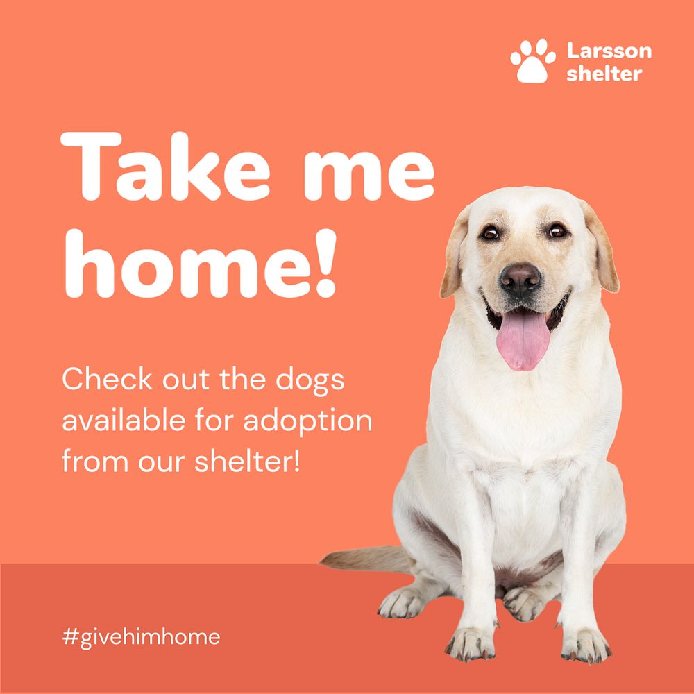 Animal shelter, Instagram post template, adopt a dog