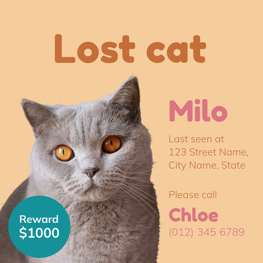 Lost cat Instagram ad template, editable colorful design