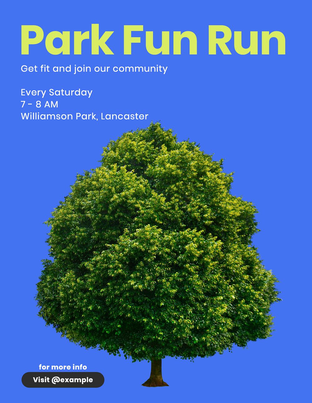 Park fun run, editable flyer template