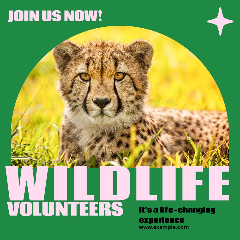 Wildlife volunteers Facebook post template, editable social media ad