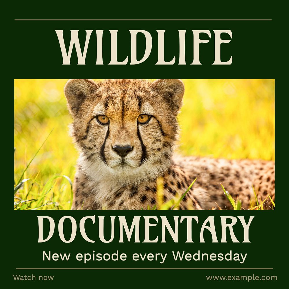 Wildlife documentary Facebook post template, editable social media ad