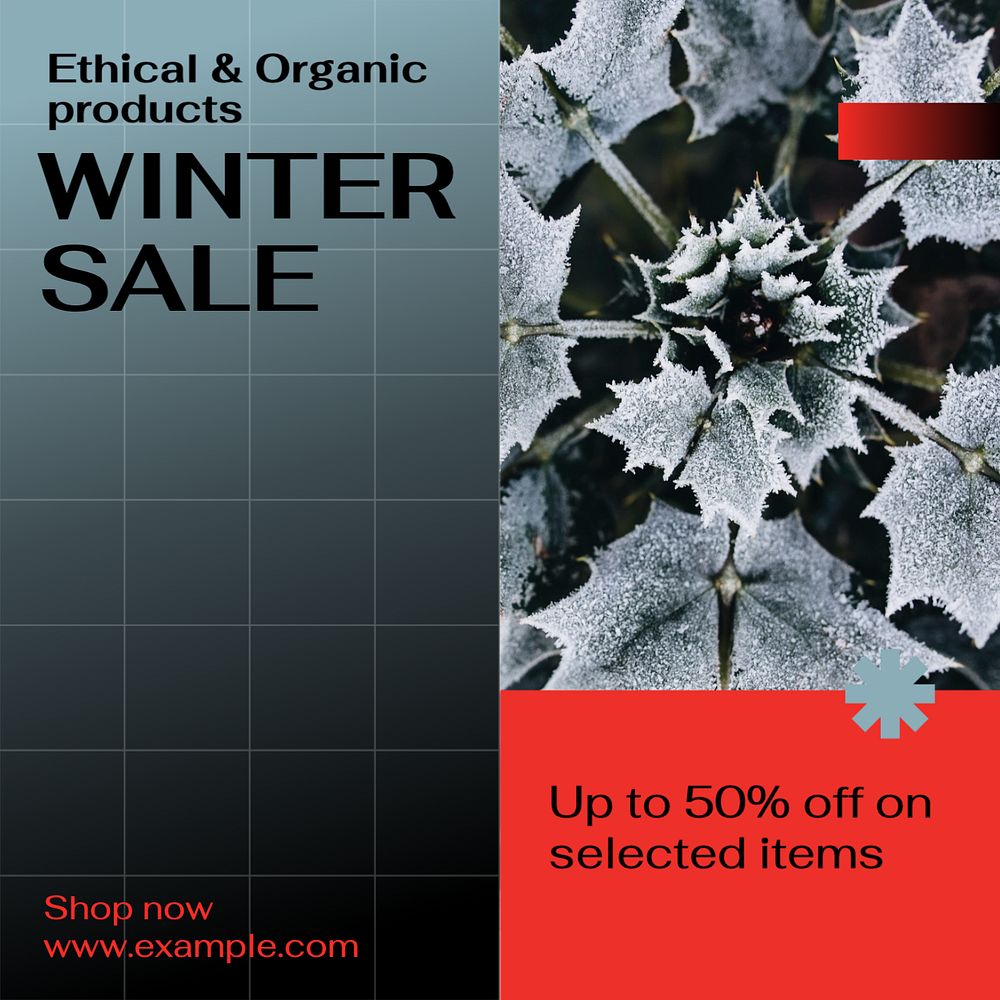 Winter sale Facebook post template, editable social media ad