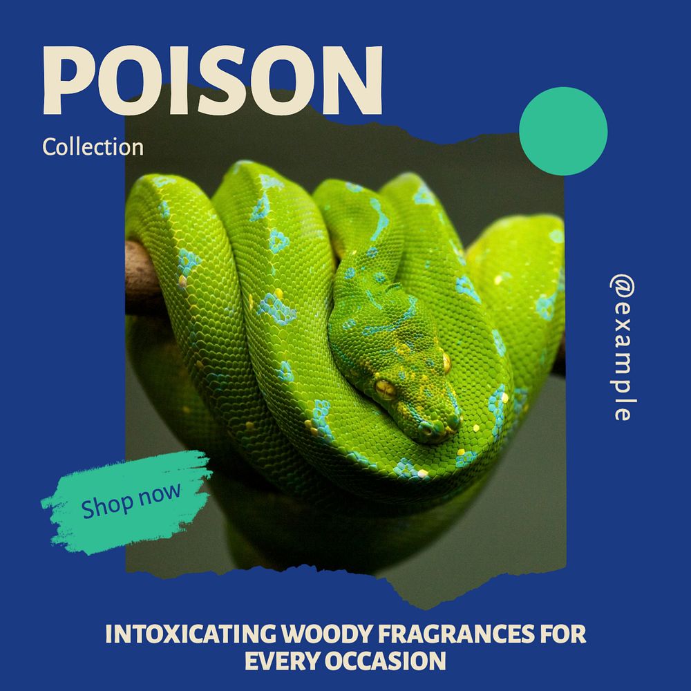 Poison collection Facebook post template, editable social media ad