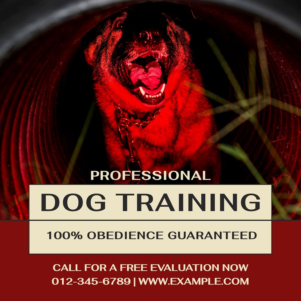 Dog training Facebook post template, editable social media ad