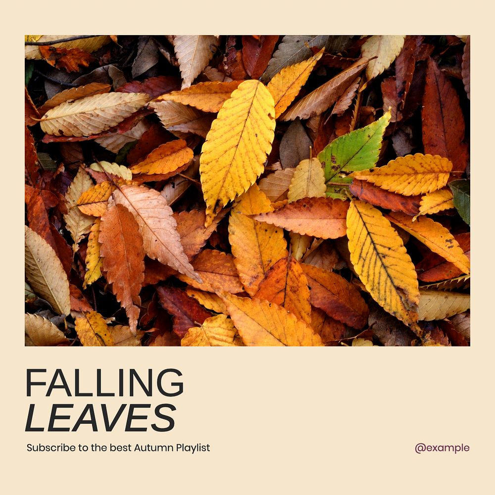 Autumn music playlist Facebook post template, editable social media ad