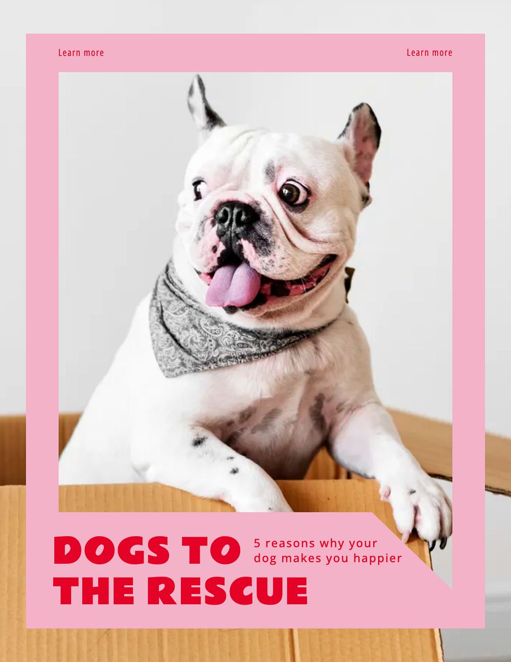 Dog flyer template, editable text