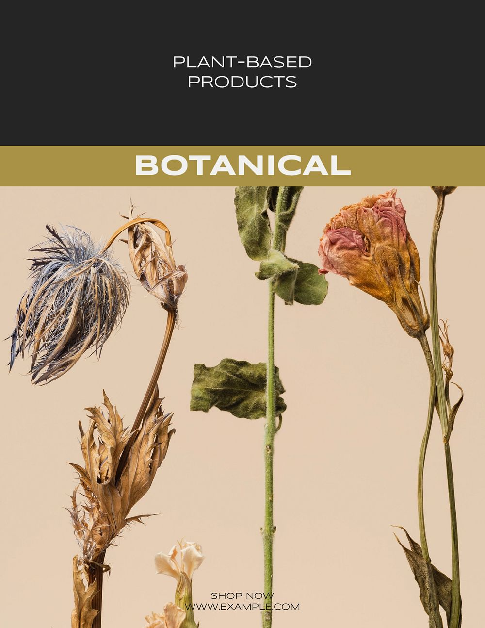 Botanical products flyer template, editable text & design