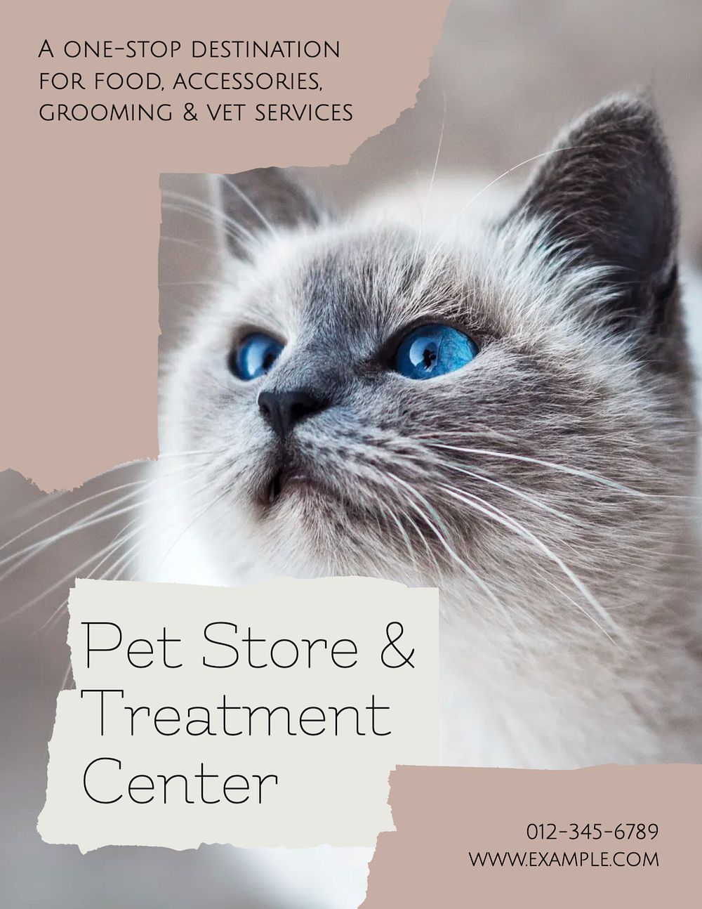 Pet store & care flyer template, editable text & design