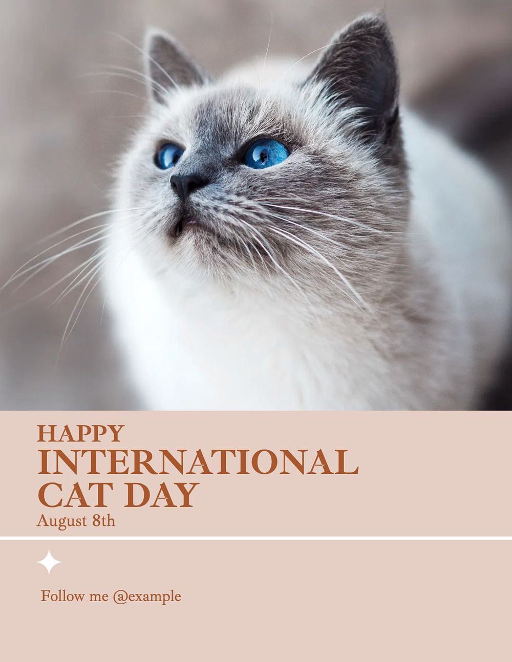 International cat day flyer template, editable text & design