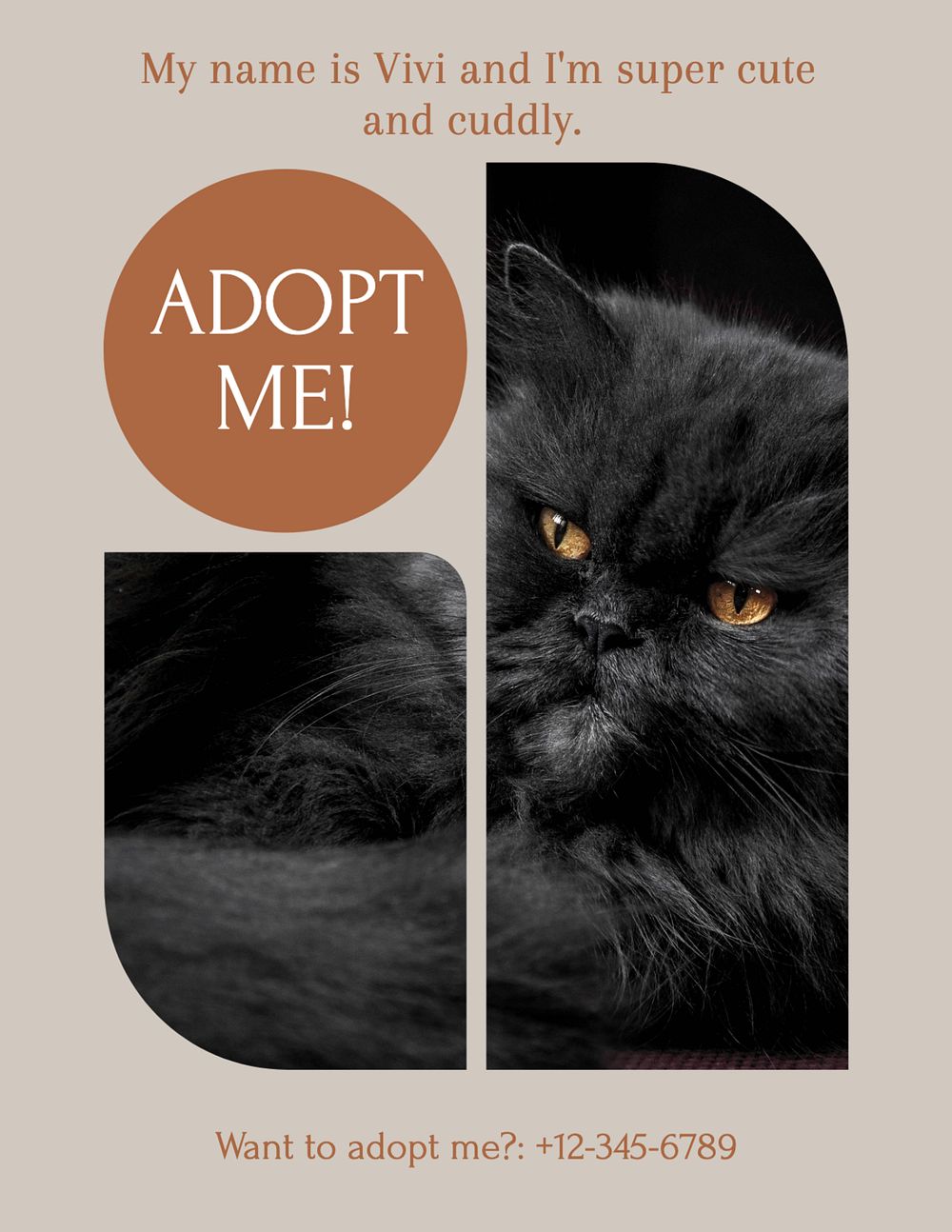 Pet adoption flyer template, editable text & design