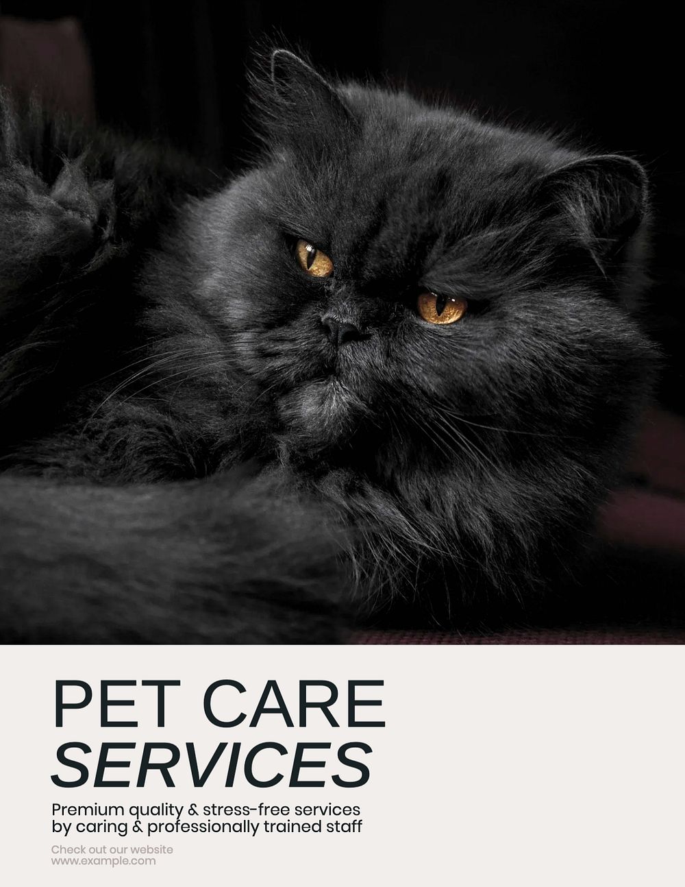 Pet care flyer template, editable text & design